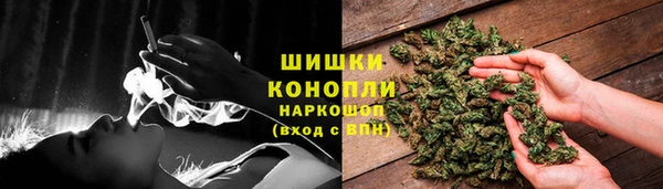 трава Аркадак